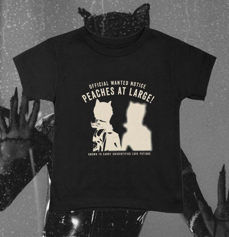 Ariana Grande The Boy Is Mine Peaches Inspired Tee