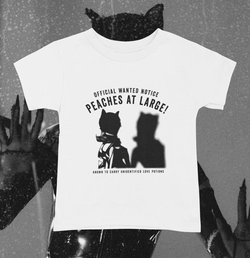 Ariana Grande The Boy Is Mine Peaches Inspired Tee